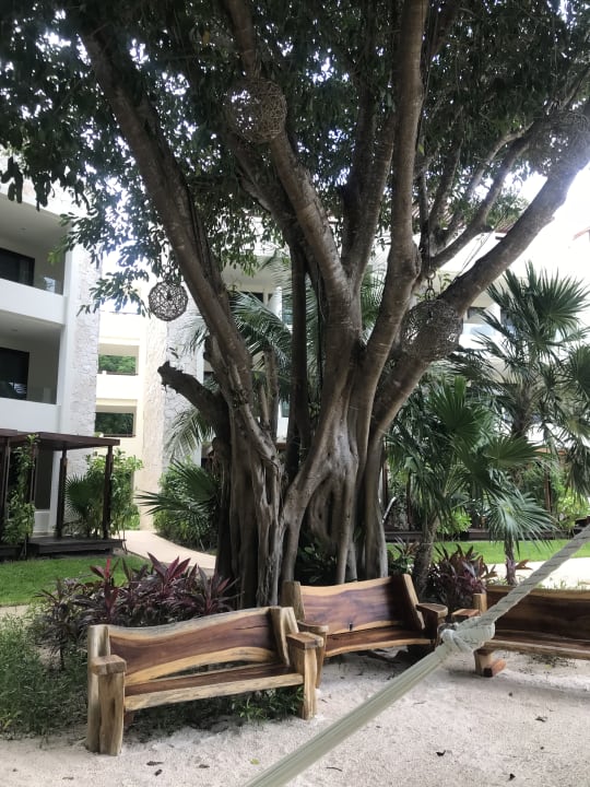 Gartenanlage Akumal Bay Beach & Wellness Resort