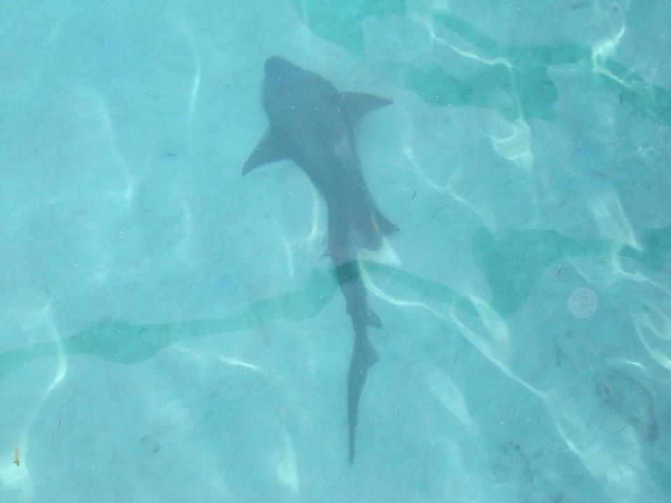 Hai am Steg Kuredu Island Resort & Spa