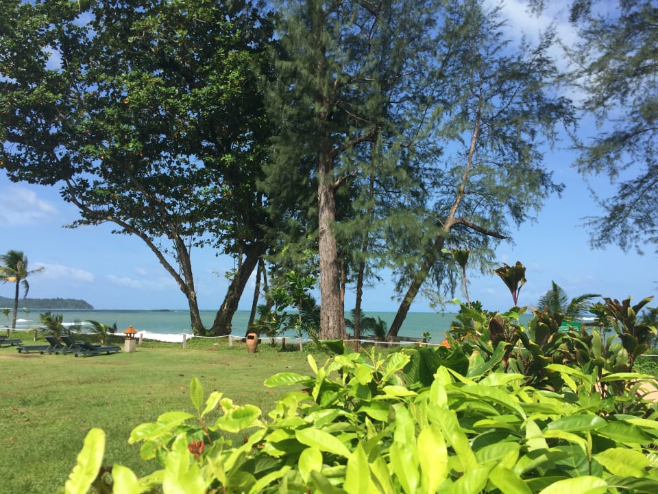 Ausblick Khao Lak Merlin Resort