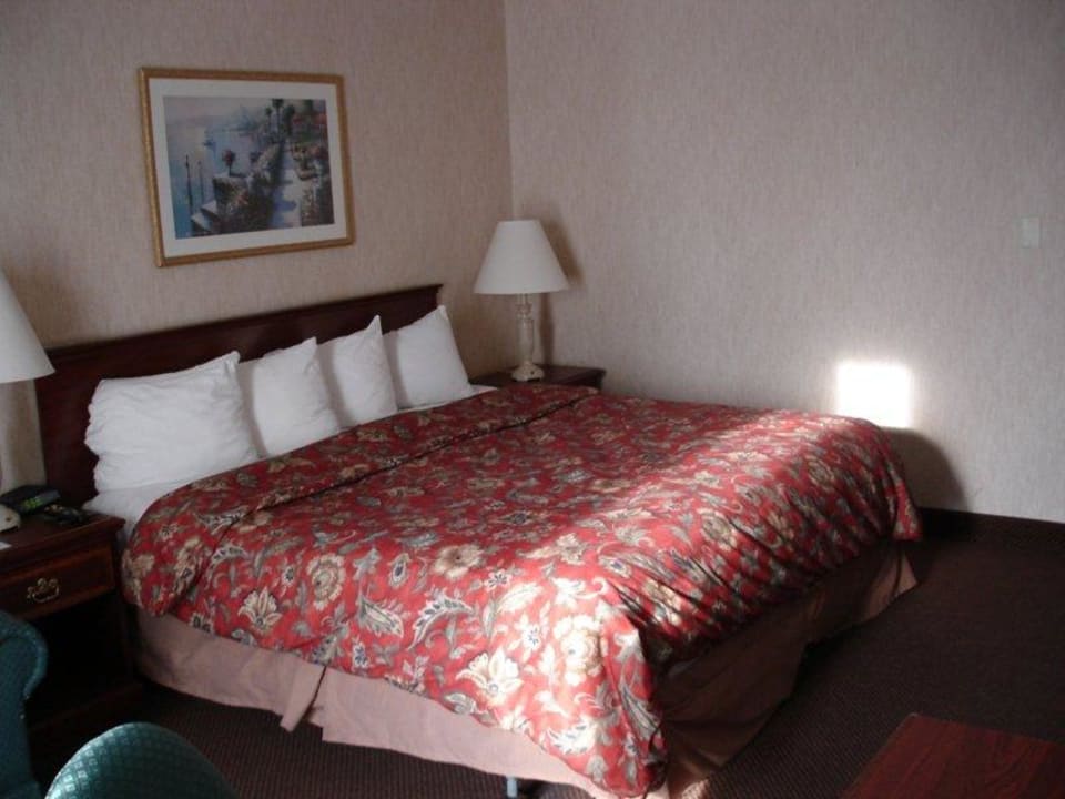 Kingsize Room RAMADA PLAZA Hotel Newark Airport