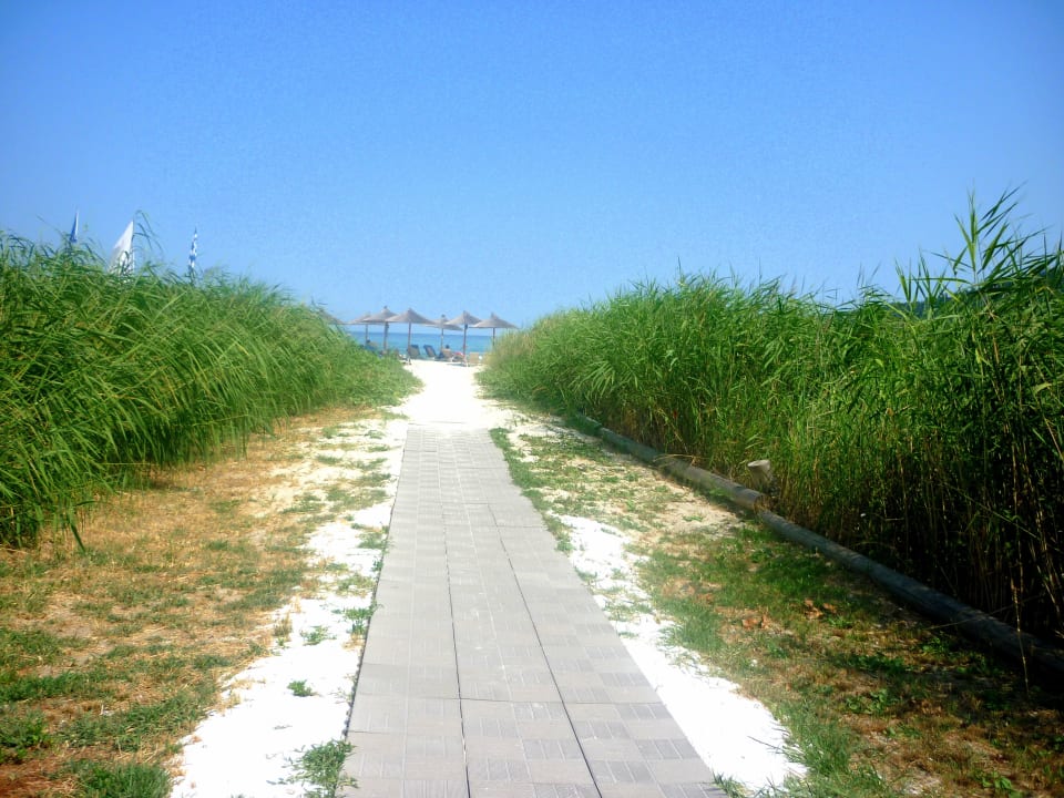 Vom Hotel aus Alexandra Golden Boutique - Adults only