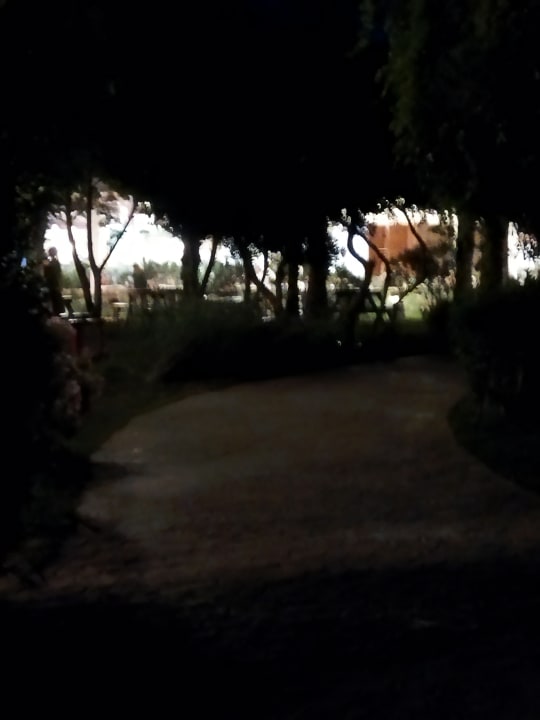 Gartenanlage Belconti Resort Hotel