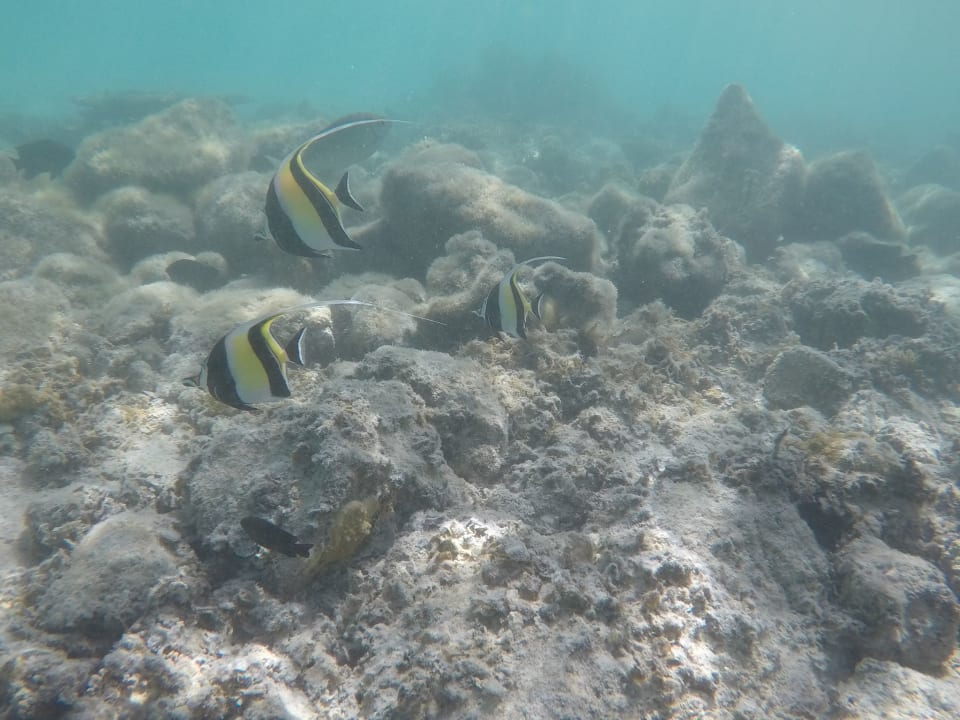 Sport & Freizeit Preskil Island Resort