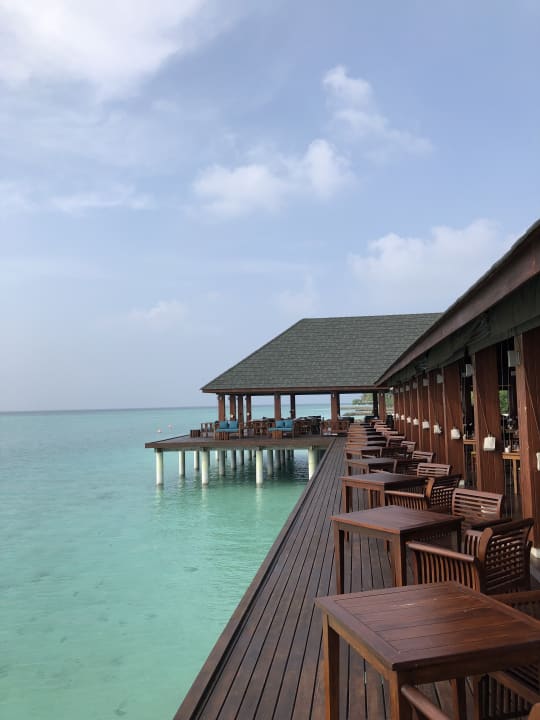 Gastro Summer Island Maldives