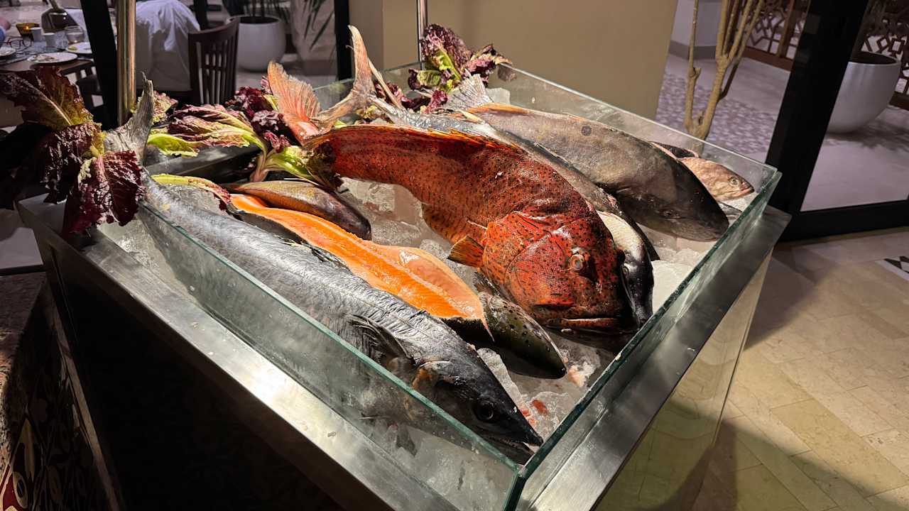 Gastro Steigenberger Resort Alaya Marsa Alam - Red Sea - Adults only