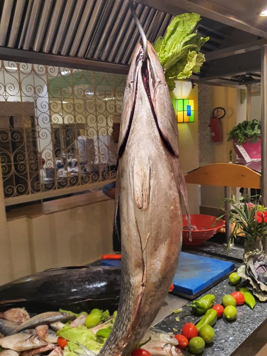 Gastro Calimera Yati Beach