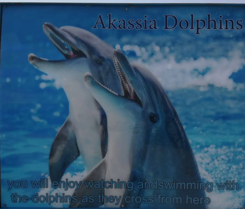 Sonstiges Sentido Akassia Beach