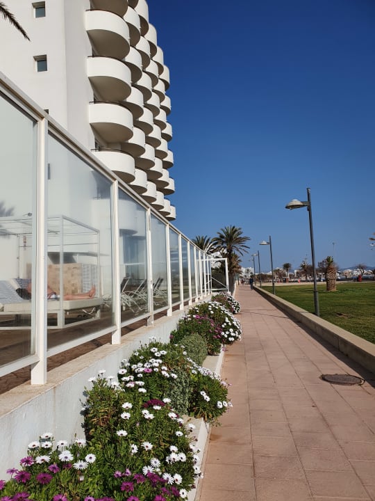 Außenansicht Hipotels Hipocampo Playa