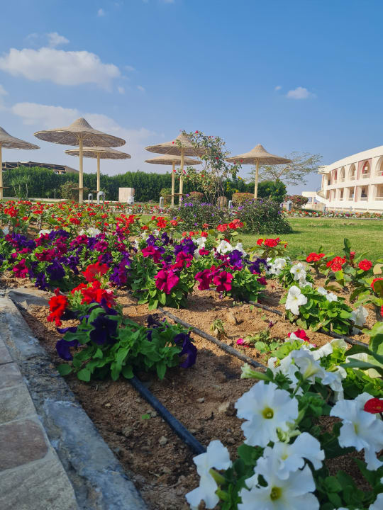 Gartenanlage Hurghada Long Beach Resort