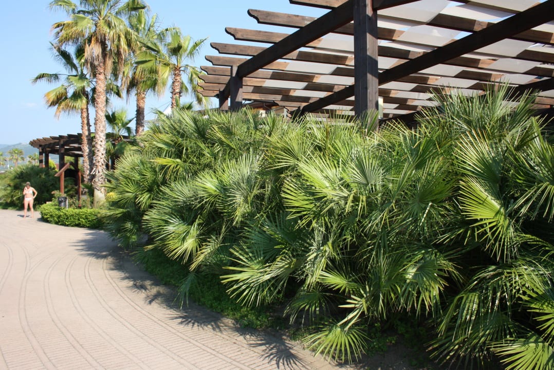 Clubanlage Falkensteiner Club Funimation Garden Calabria