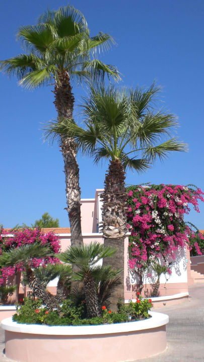 Palmen in der Hotelanlage Mitsis Rodos Village