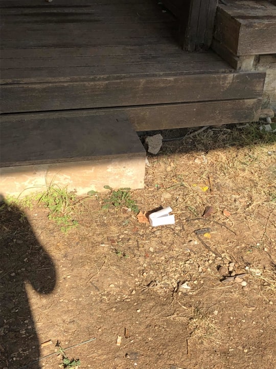 Gartenanlage Hotel Andreas & Melani Beach