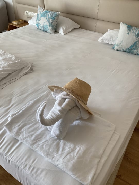 Zimmer Hotel Bilyana Beach