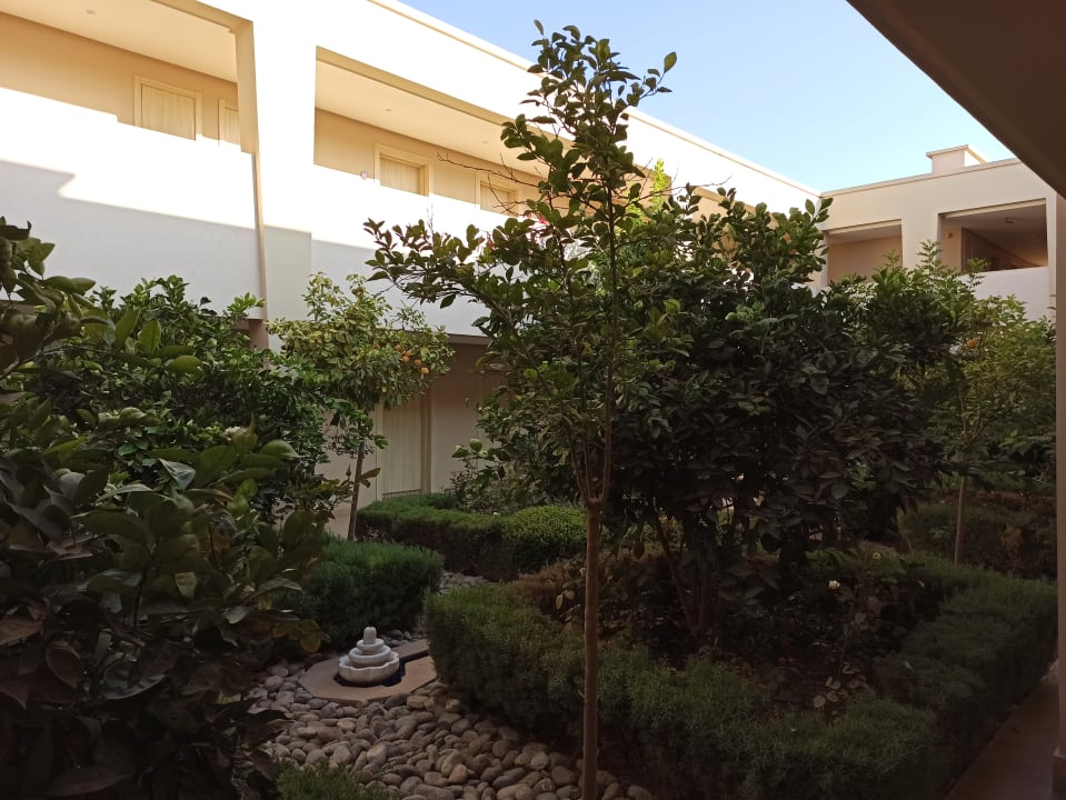 Gartenanlage Be Live Collection Marrakech - Adults only