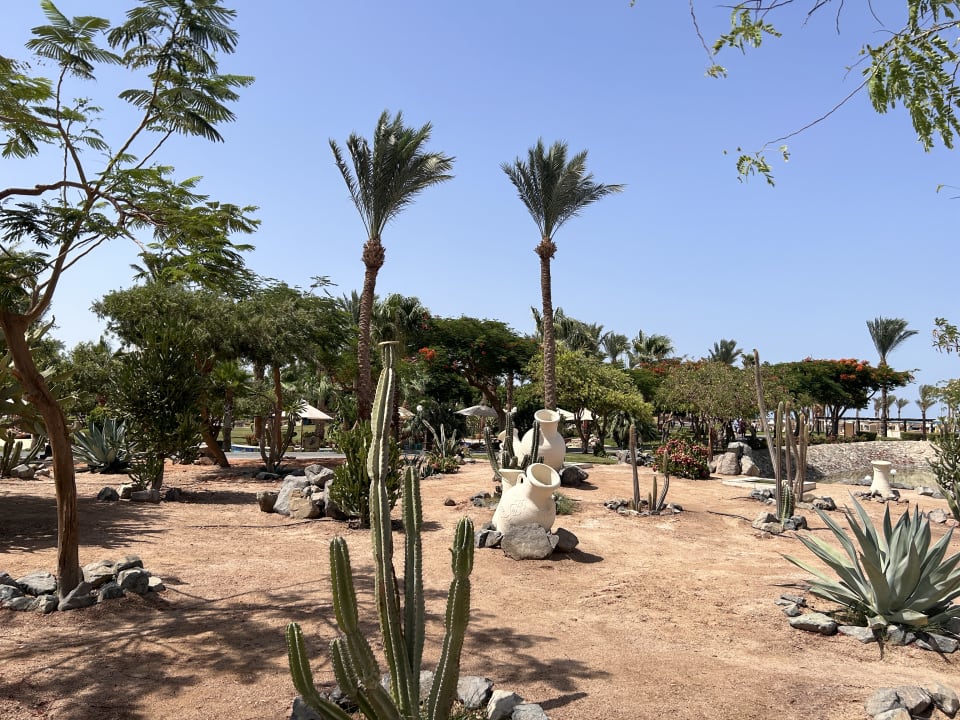 Gartenanlage Steigenberger Aqua Magic