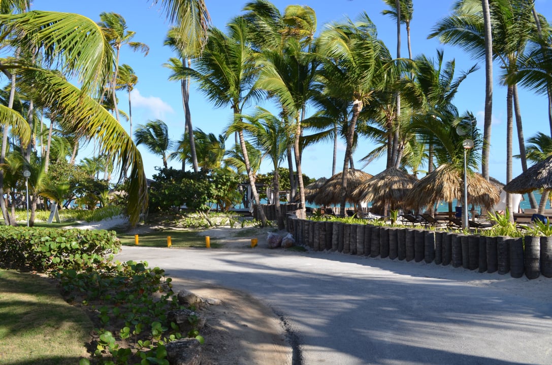 Traumstrand TRS Turquesa Hotel - Adults only