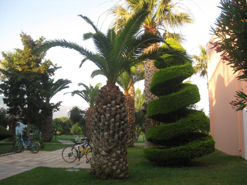 Gartenanlage im Hotel Corali Hotel