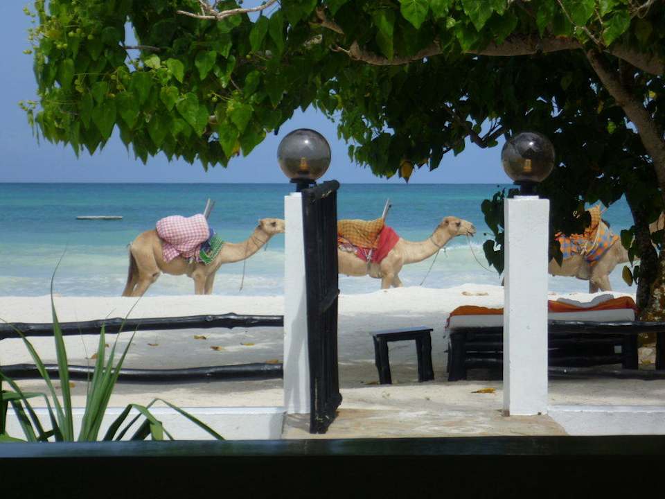 Kamele Hotel Karibuni Rafiki Beach Resort