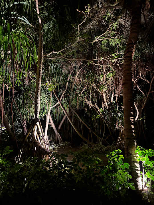 Gartenanlage Kuredu Island Resort & Spa