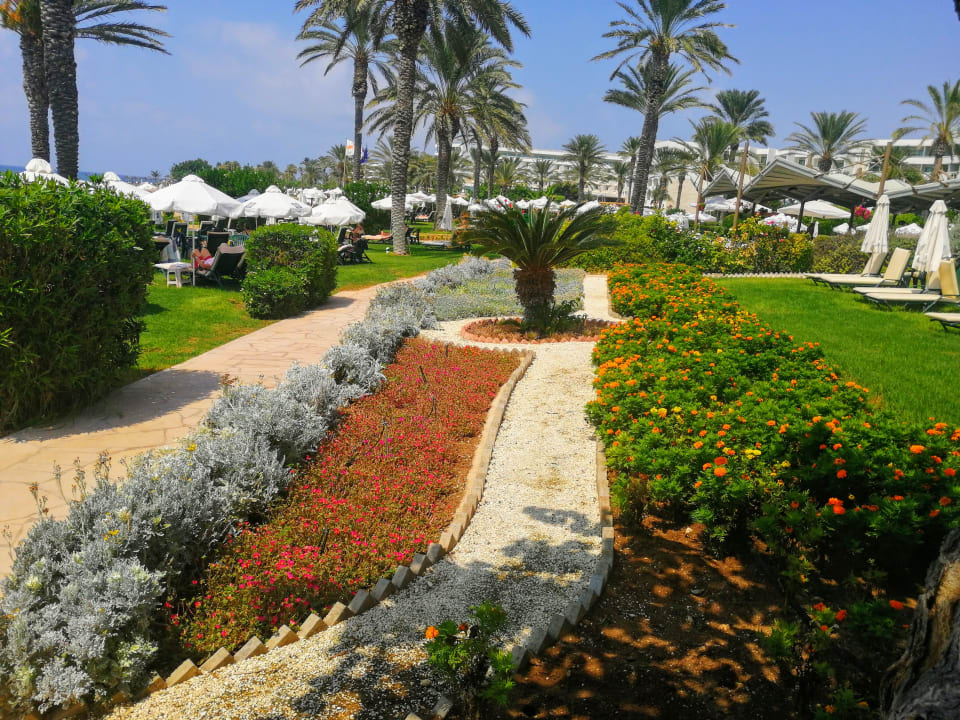 Gartenanlage Constantinou Bros Athena Beach Hotel