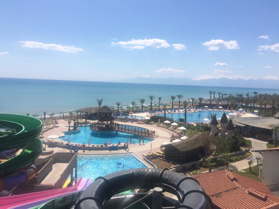 Ausfischt auf 2 von 3 Pools  Papillon Belvil