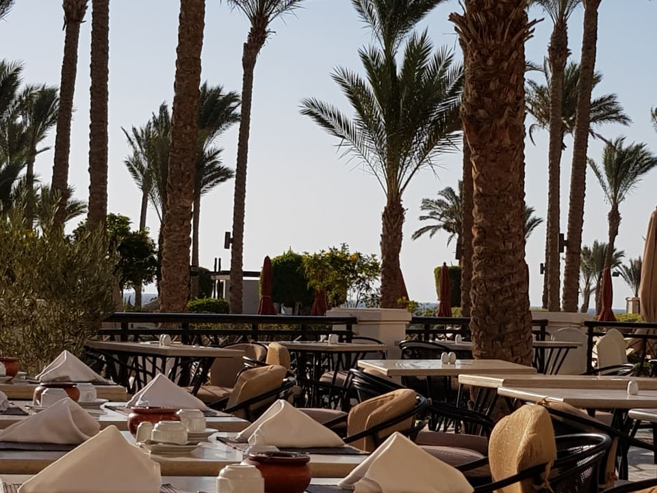 Restaurant Pickalbatros Palace Hotel-Port Ghalib