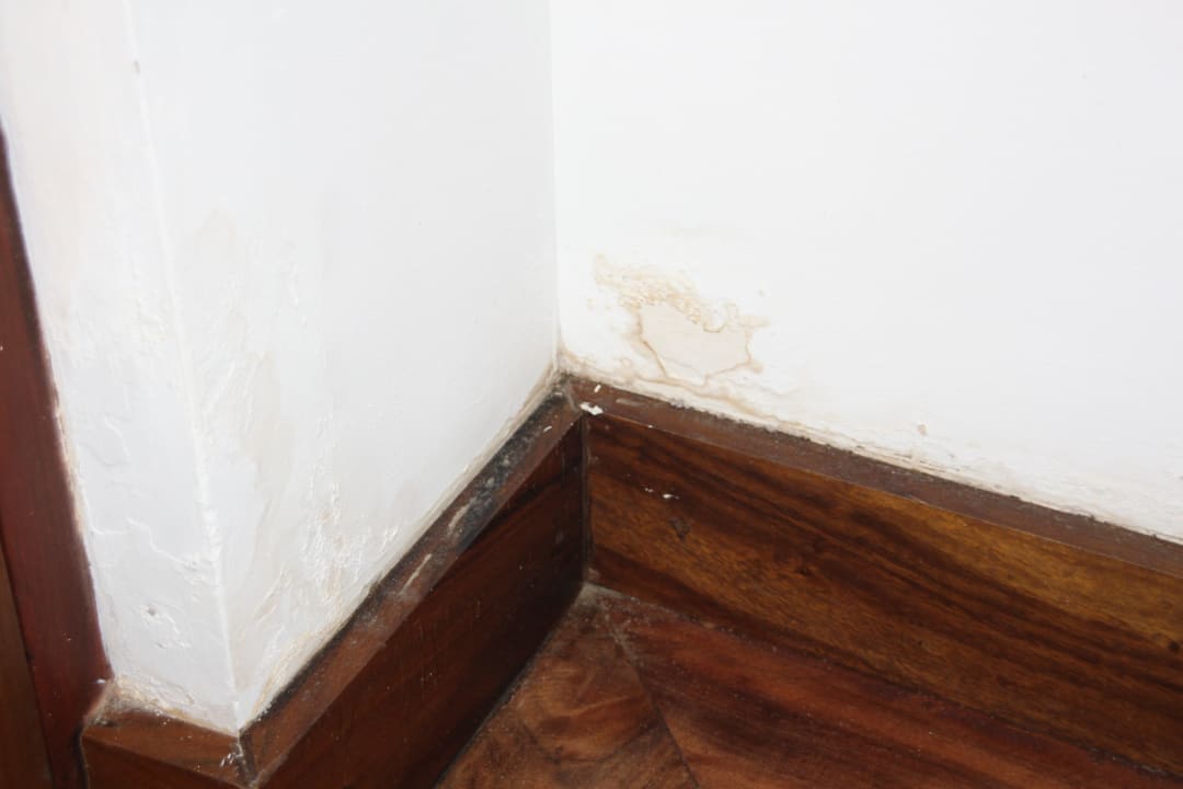 Schimmel und feucht Royal Palms Beach Hotel