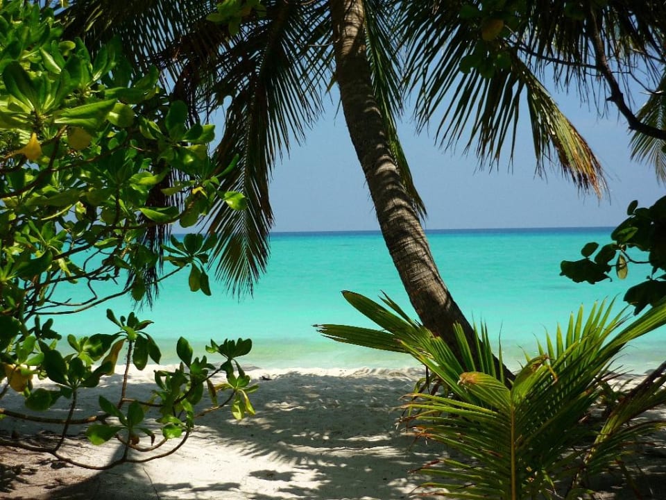 Strand  Kuramathi Maldives