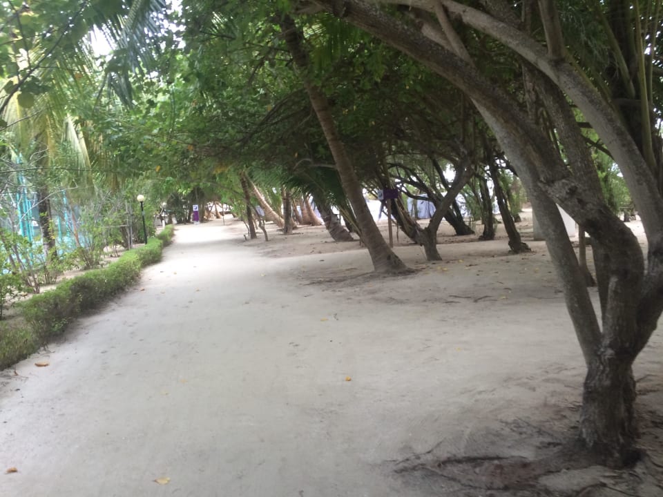 Ausblick Cinnamon Dhonveli Maldives