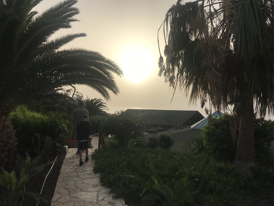 Gartenanlage Marina Playa Suite Hotel