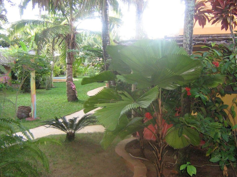 View from a room. Hotel Coyamar