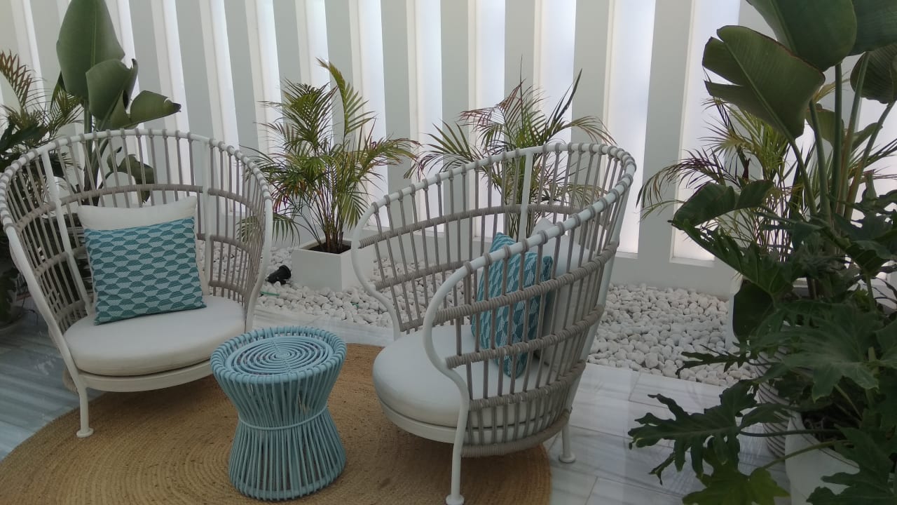 Lobby Canary Garden Club