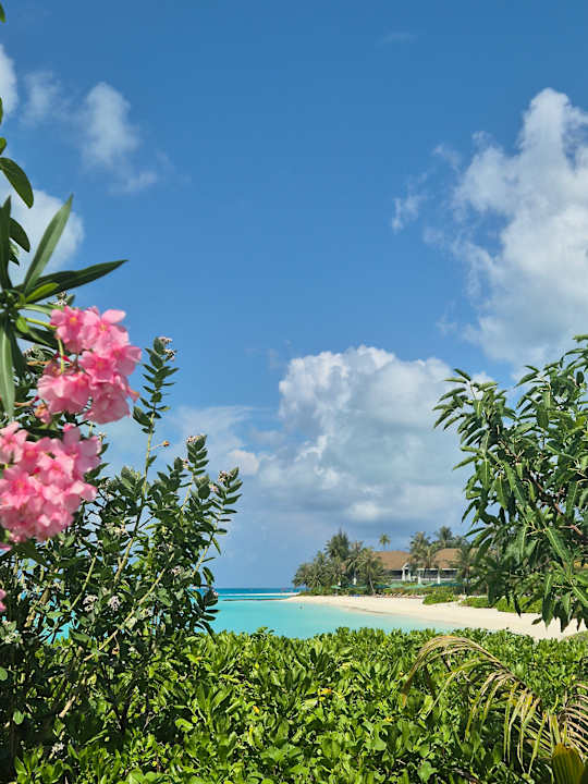 Gartenanlage SAii Lagoon Maldives, Curio Collection by Hilton