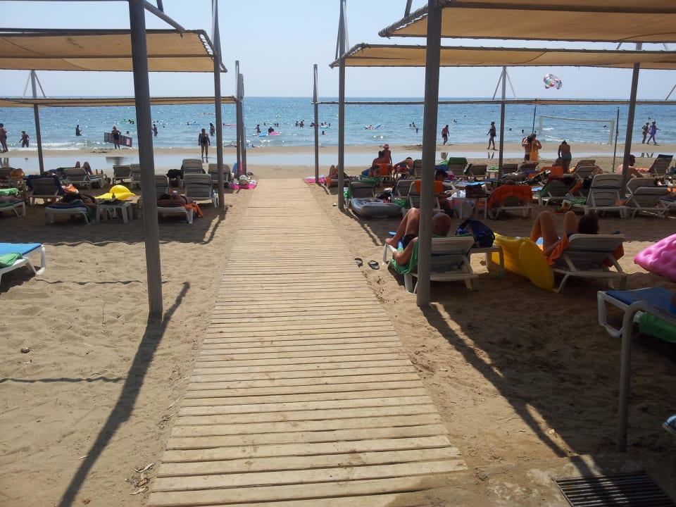 Ausreichend viele Liegen, feste Beschattung Hotel Thalia Unique