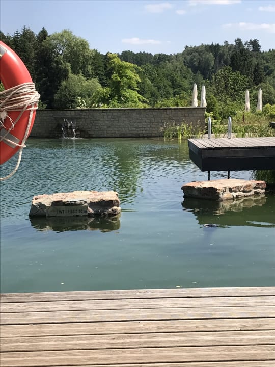 Sport & Freizeit Pfalzblick Wald Spa Resort