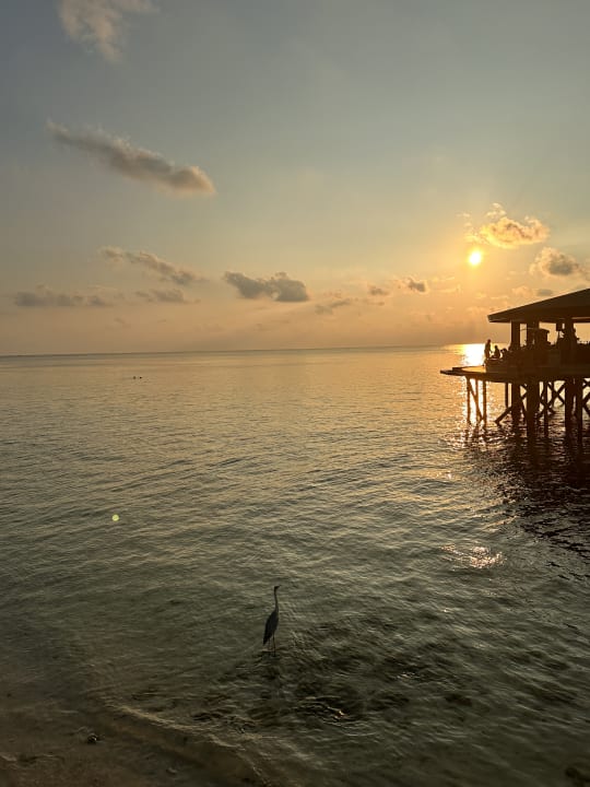 Strand Centara Ras Fushi Resort & Spa Maldives
