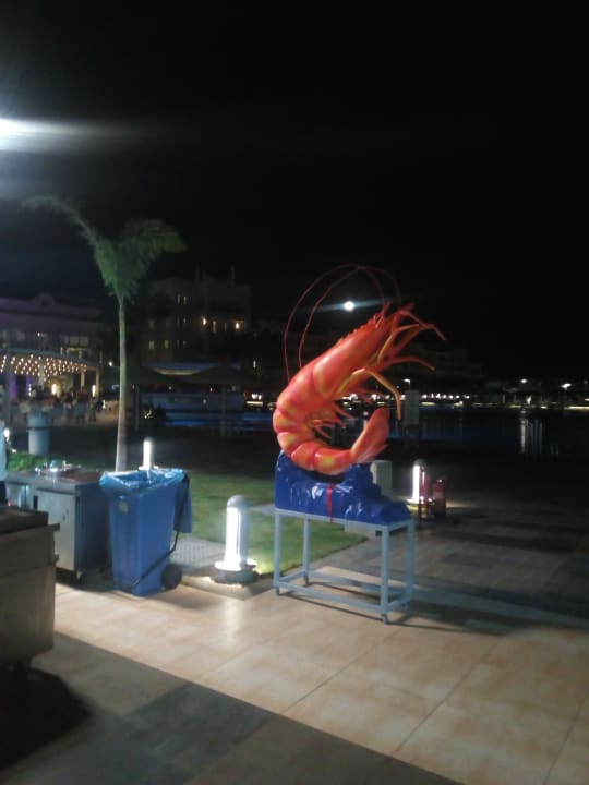 Sonstiges Pickalbatros White Beach Resort - Hurghada