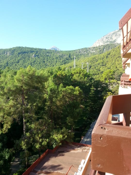 Garten Balmy Foresta