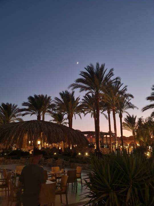 Gastro Jaz Makadi Oasis Resort