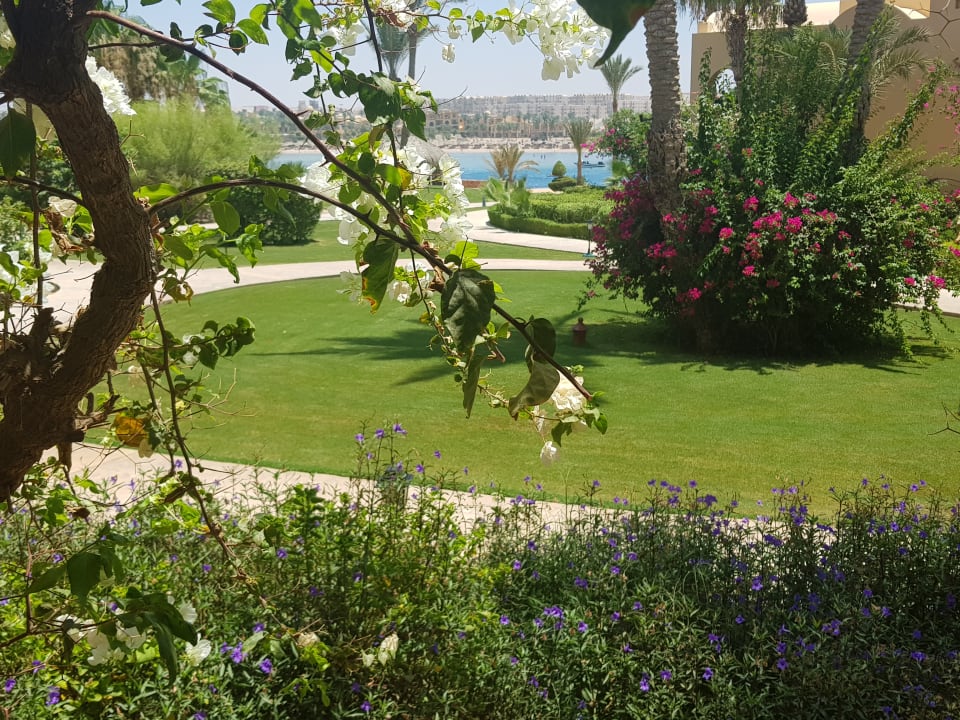 Gartenanlage Steigenberger Coraya Beach - Adults only