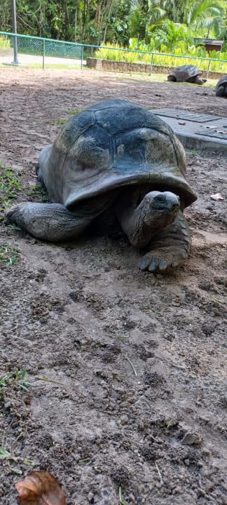 Sonstiges Constance Ephelia