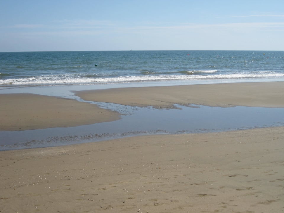 Strand am Hotel Playamarina Hotel