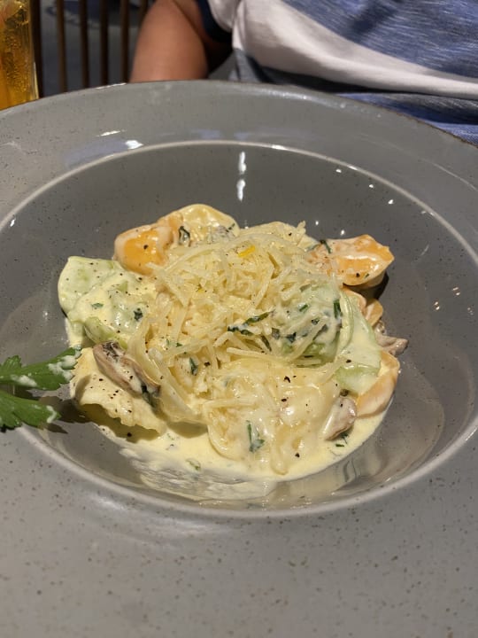 Gastro Acanthus Cennet Barut Collection