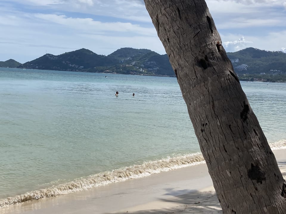 Strand Chaweng Regent Beach Resort