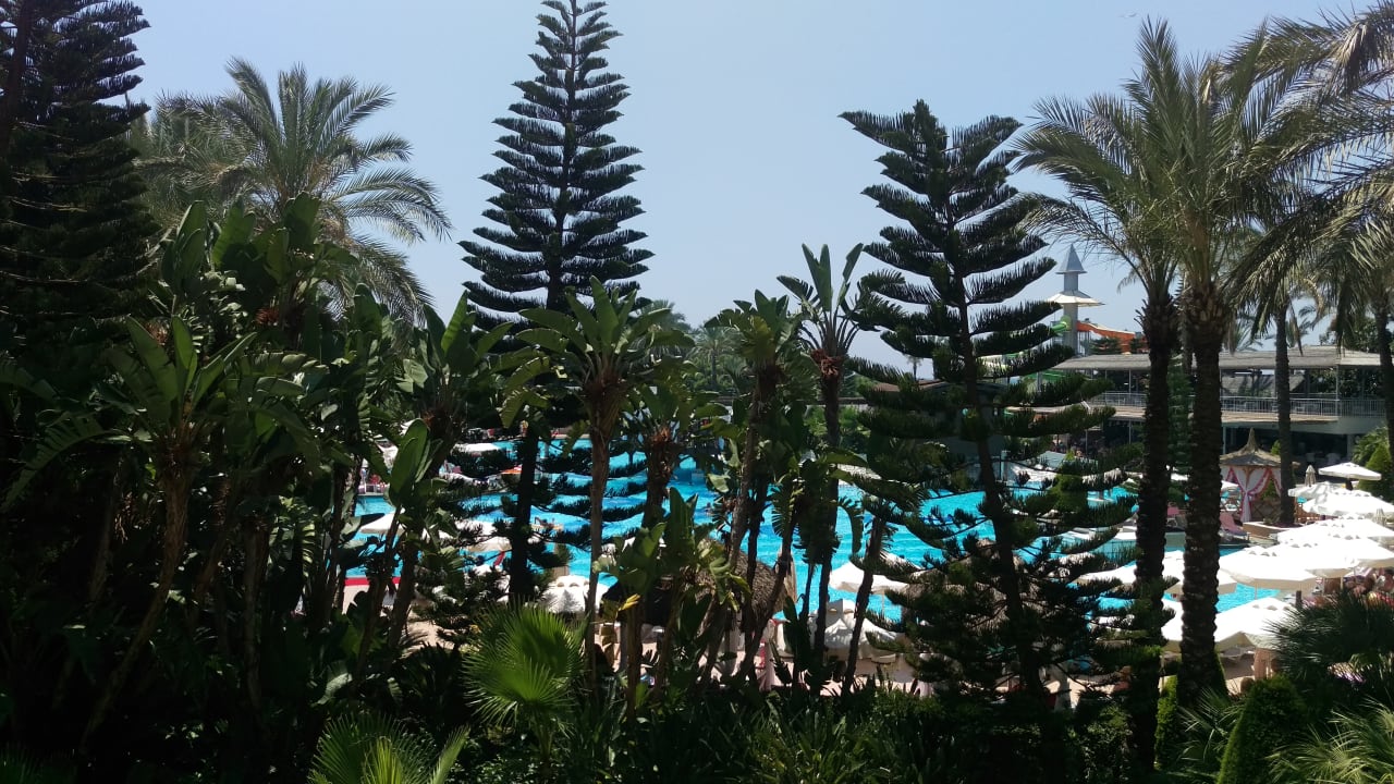 Pool Hotel Delphin Diva