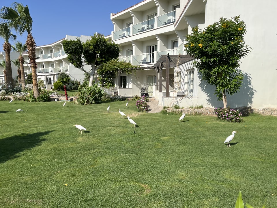 Gartenanlage Amarina Abu Soma Resort & Aquapark