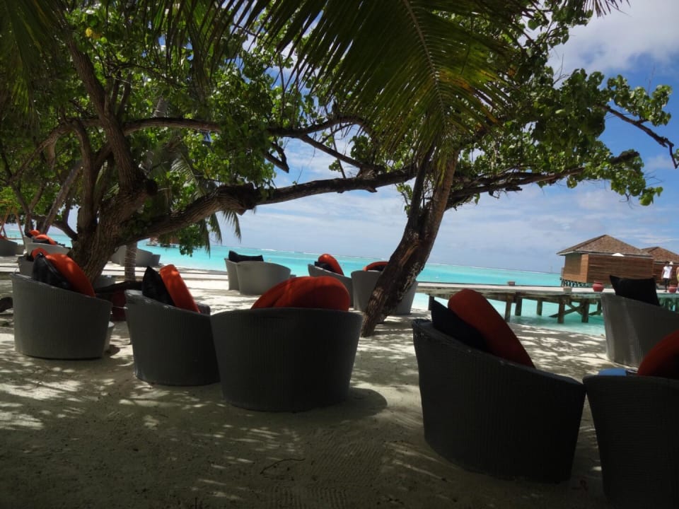 Bar Meeru Maldives Resort Island