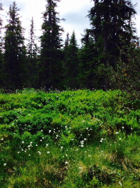 Außenansicht JUFA Hotel Planneralm