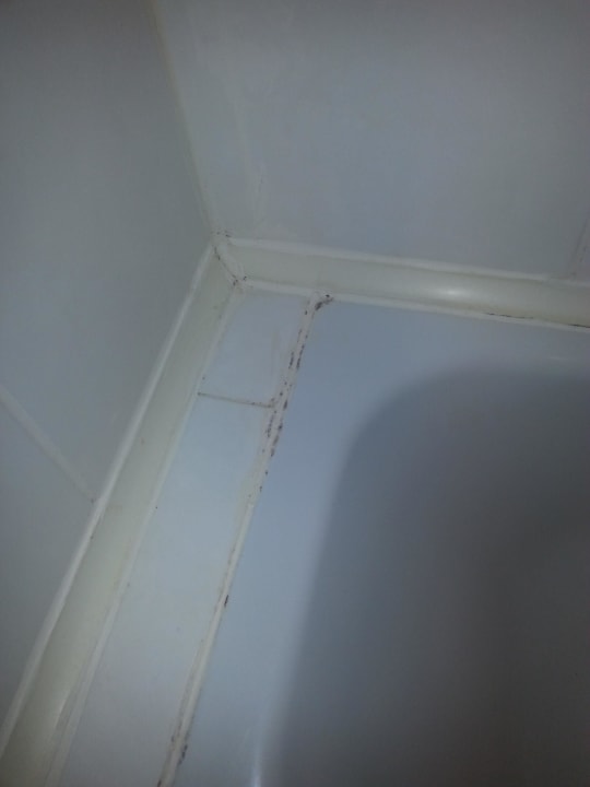 Schimmel soweit das Auge reicht Larina Resort Spa & Hotel