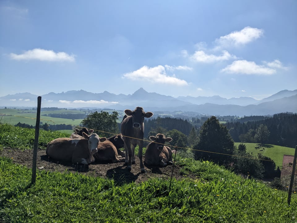 Ausblick Ferienhof Herkommer